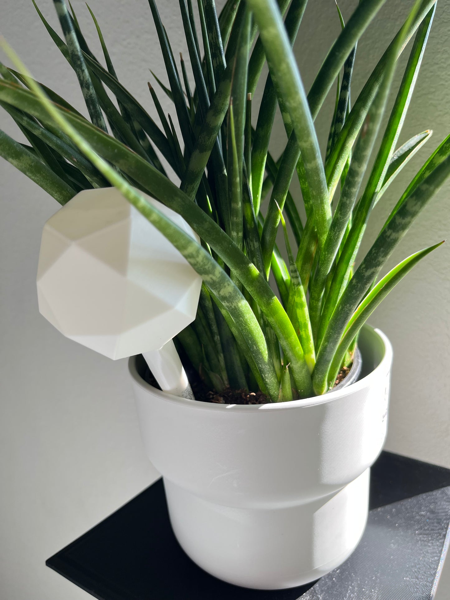Watering Bulb