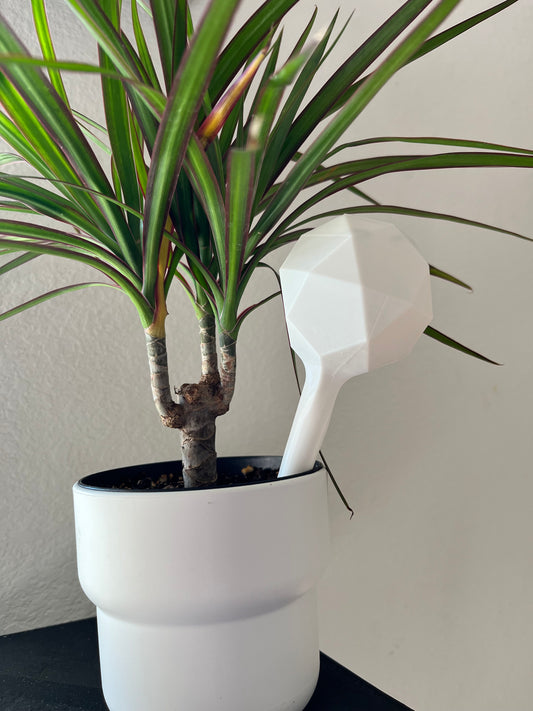 Watering Bulb